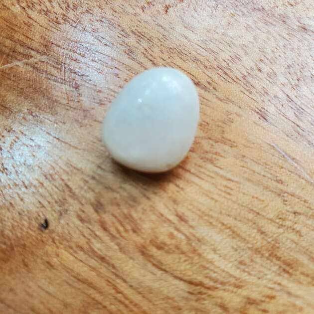 Cabochon Agate Blanche